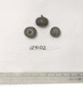 Click for 1 image(s) for this accession. FRUIT